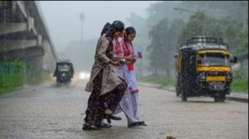Punjab Weather Update: Orange Alert Over Punjab For July 24; Here's What IMD said Punjab Weather Update: Orange Alert Over Punjab For July 24; Here's What IMD said