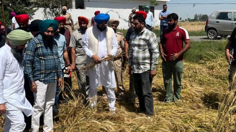 Agriculture Minister Kuldeep Singh Dhaliwal