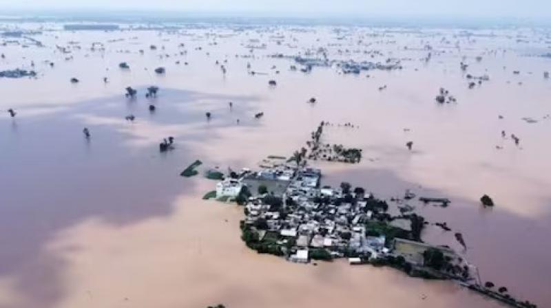 Punjab News: Human Rights Panel Directs Firms to Contribute CSR Funds for Flood Relief Punjab News: Human Rights Panel Directs Firms to Contribute CSR Funds for Flood Relief