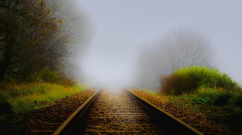 Twenty-four trains were delayed after fog