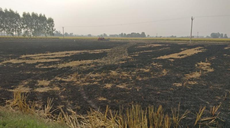 Stubble burning Stubble burning