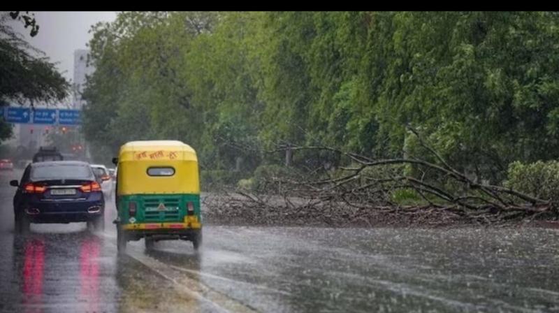 Punjab Weather Update: Here's What IMD said about the next few days Punjab Weather Update: Here's What IMD said about the next few days