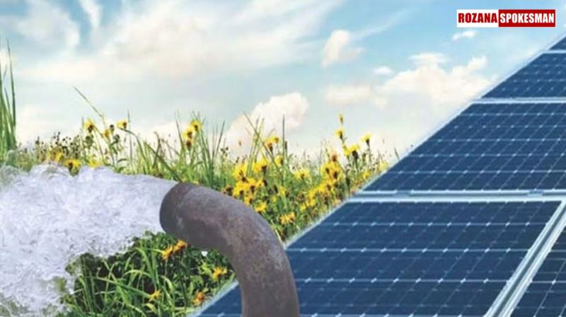 Punjab Government Promotes Pond Irrigation and Solar Pumps to Benefit Farmers Punjab Government Promotes Pond Irrigation and Solar Pumps to Benefit Farmers