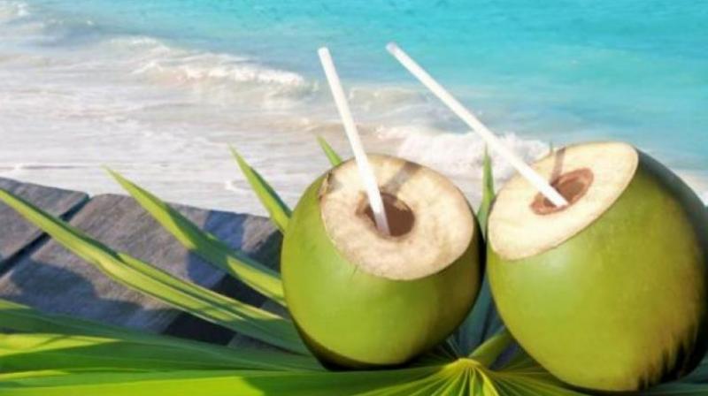Coconut Water Coconut Water