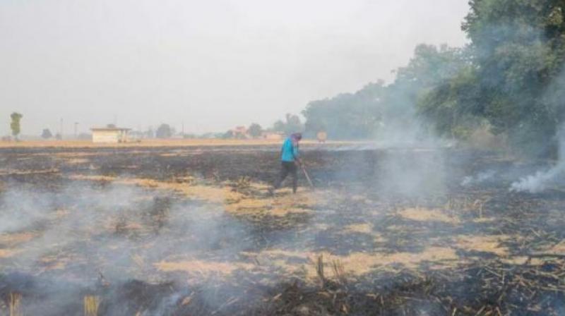 Stubble Burning Cases in Punjab