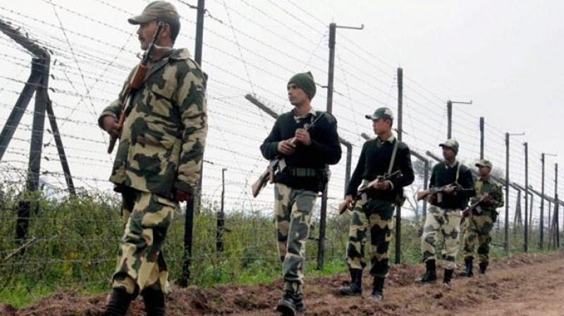 BSF foils fresh infiltration bid