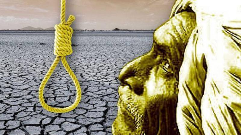 Farmer commits suicide