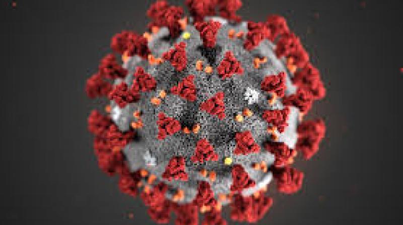 COVID-19 Cases Rise in Dehradun; 7 New Infections Reported Amid Nationwide Surveillance Efforts COVID-19 Cases Rise in Dehradun; 7 New Infections Reported Amid Nationwide Surveillance Efforts