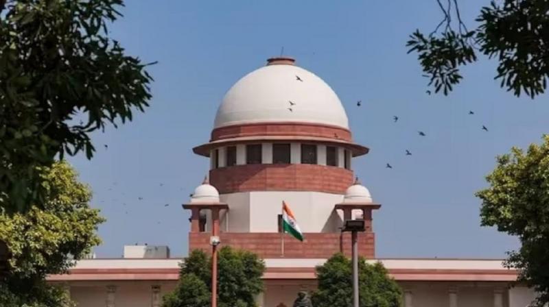 Supreme Cour reserves order on pleas to stay directions on relocation of stray dogs in Delhi