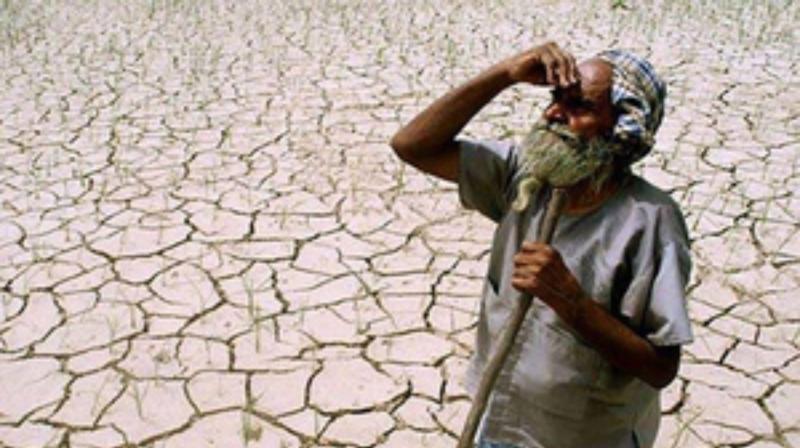 Bihar Fears Drought Amidst Nationwide Heavy Rainfall Bihar Fears Drought Amidst Nationwide Heavy Rainfall