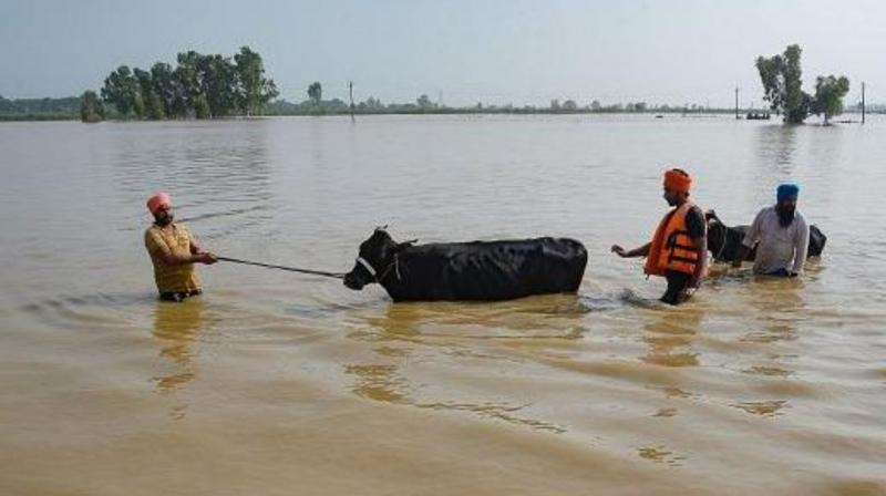 Flying Rivers: Heavy Rainfall Leads To Devastating Floods in India Flying Rivers: Heavy Rainfall Leads To Devastating Floods in India