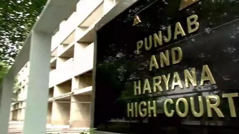 High Court Rejects Son's Plea Against Monthly Maintenance to Widow mother; Levies Extreme Fine