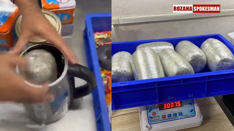 Customs at Indira Gandhi International Delhi, Seize 3 kg Suspected Hydroponic Weed from Passenger Arriving from Bangkok Customs at Indira Gandhi International Delhi, Seize 3 kg Suspected Hydroponic Weed from Passenger Arriving from Bangkok