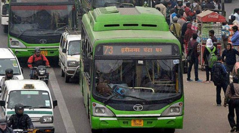 bus bus
