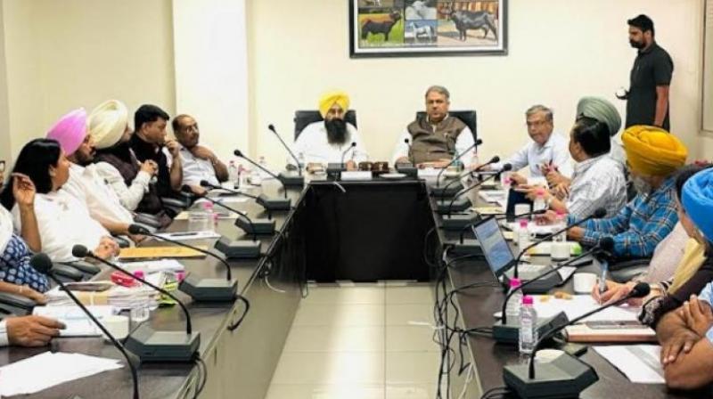 Meeting Meeting