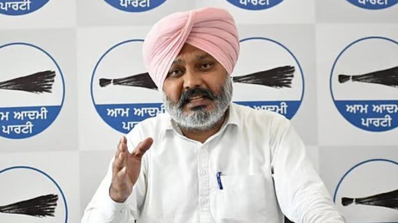 Punjab Rejects Centre, Haryana Govt's Proposal to Deploy CISF at Bhakra Beas Dam News