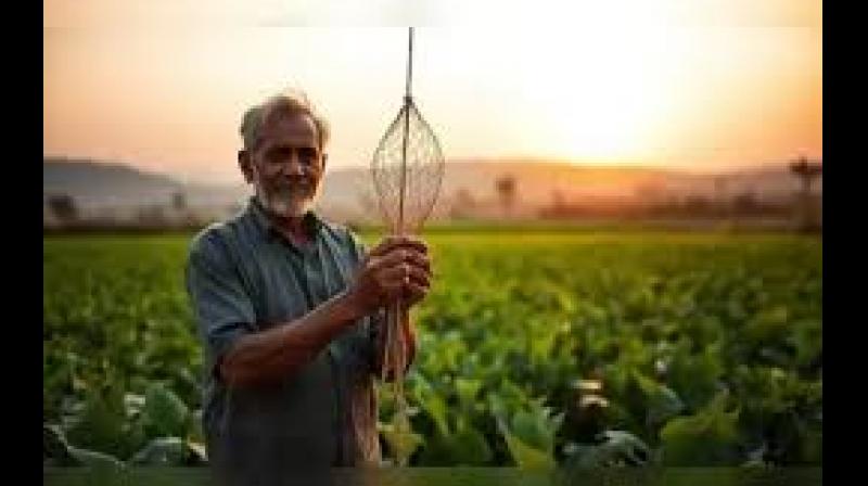 He also called on the hospitality industry to promote Geographical Indication (GI) tagged food products. File Photo.