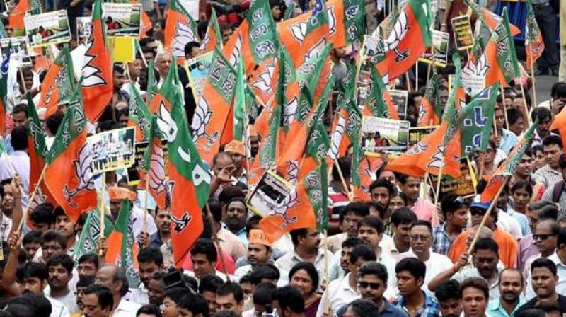 Delhi BJP plans four mega rallies