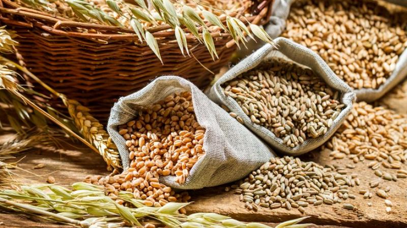 No change in foodgrain prices