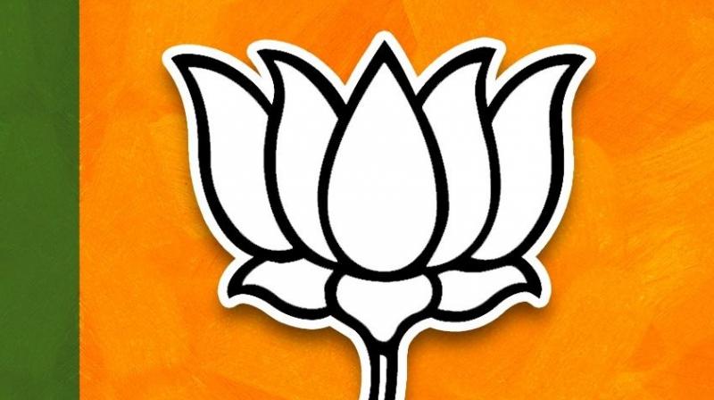Bharatiya Janata Party (BJP) Bharatiya Janata Party (BJP)