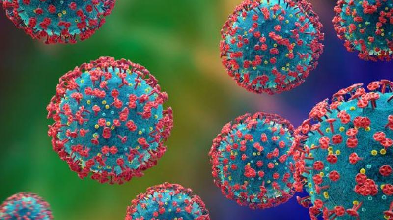 H3N2 Virus H3N2 Virus