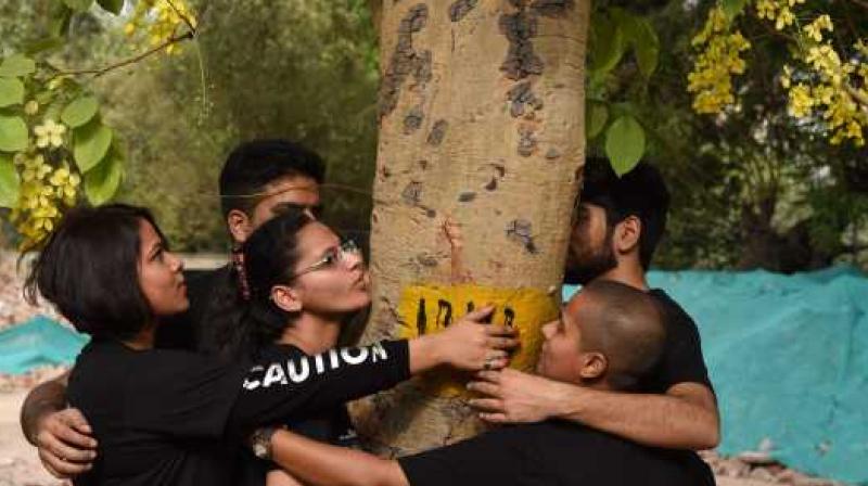 Not a single tree would be cut and status quo be maintained on tree felling Not a single tree would be cut and status quo be maintained on tree felling