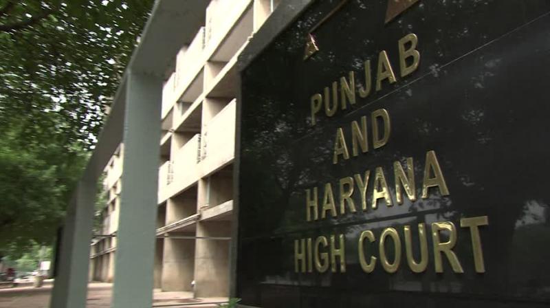 Punjab & Haryana High Court Punjab & Haryana High Court