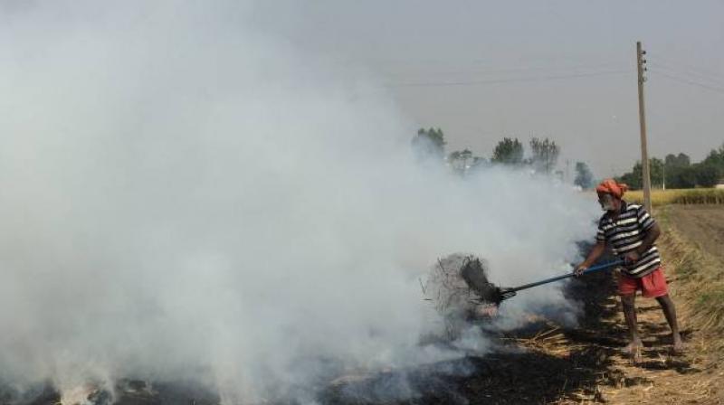 Stubble burning Stubble burning