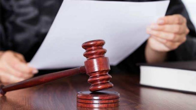 No interim order by HC against felling trees for south Delhi re-development No interim order by HC against felling trees for south Delhi re-development