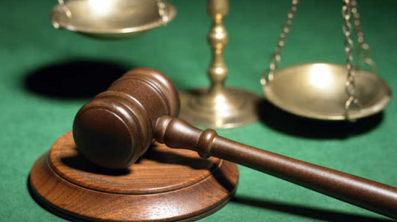 HC directs govt to remove solar fences in reserve forest area HC directs govt to remove solar fences in reserve forest area