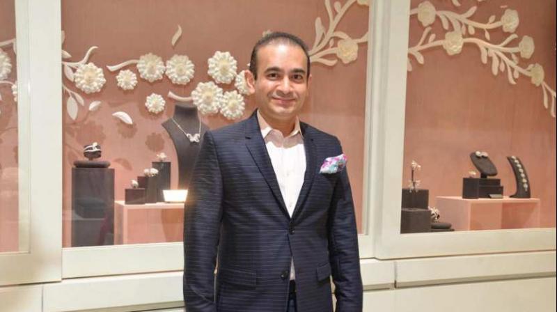 Nirav Modi