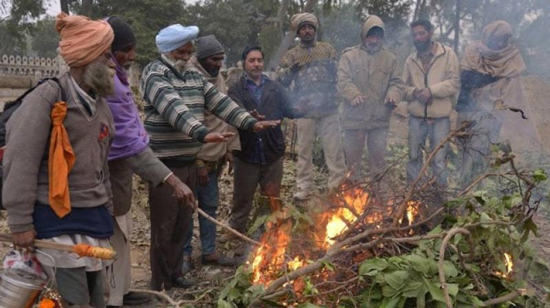 Punjab and Haryana braved cold weather Punjab and Haryana braved cold weather