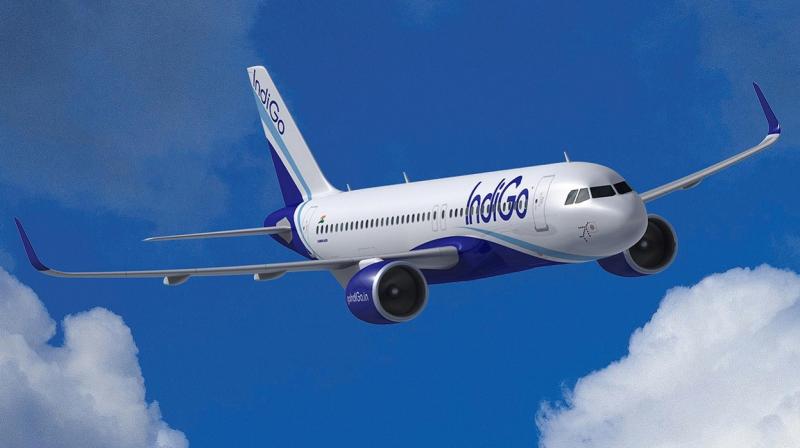  Indigo airlines