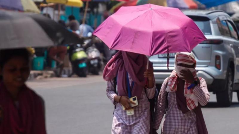 Punjab School Summer Timings Change News: Punjab Govt Revises Timings Amid Heatwave Punjab School Summer Timings Change News: Punjab Govt Revises Timings Amid Heatwave