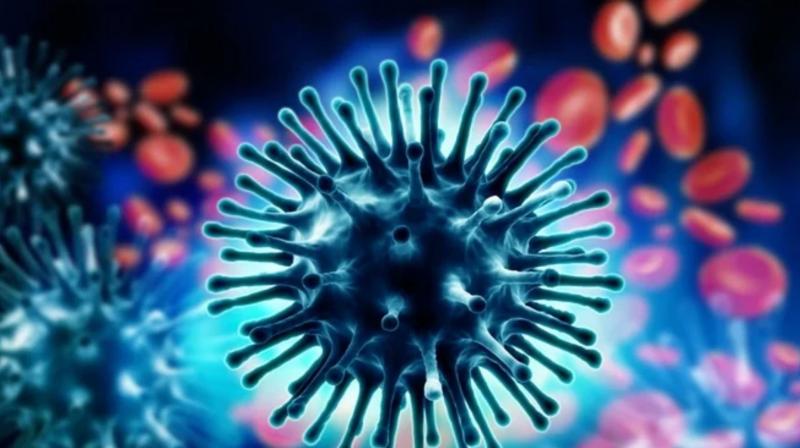Chandigarh reports 1st case of swine flu, health department issues advisory Chandigarh reports 1st case of swine flu, health department issues advisory