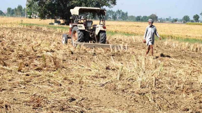 Landless Farmers Demand Full Waiver in Punjab