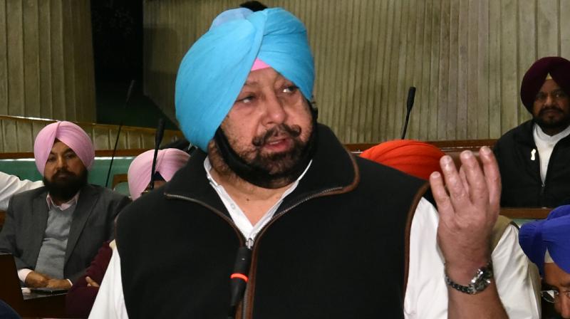 Punjab Chief Minister Captain Amarinder Singh Punjab Chief Minister Captain Amarinder Singh