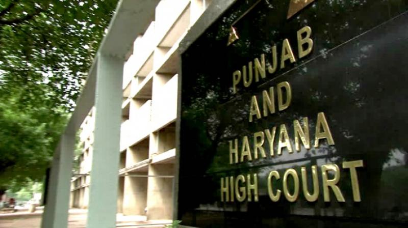 Punjab & Haryana High Court Punjab & Haryana High Court