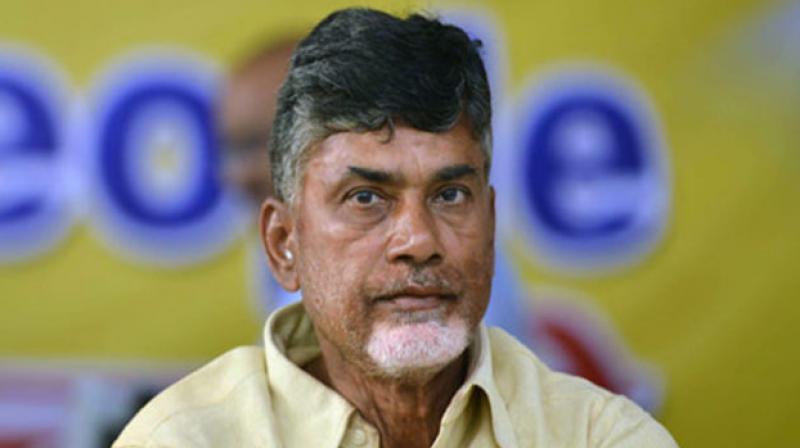 Andhra Pradesh Chief Minister N Chandrababu Naidu