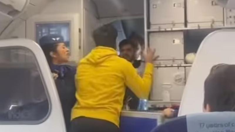 WATCH: Passenger hits IndiGo pilot over flight delay due to weather