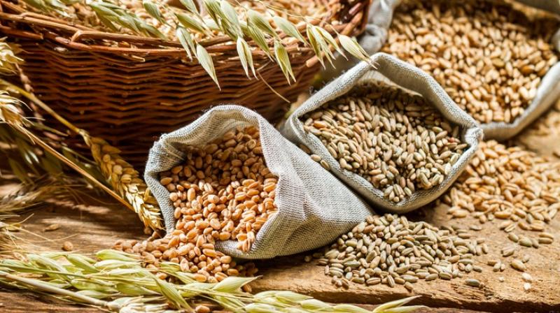 No change in foodgrain prices No change in foodgrain prices