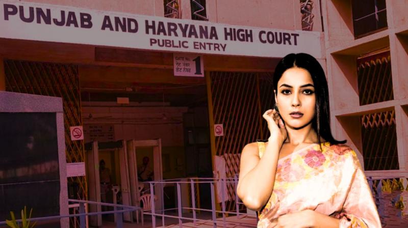 Punjab and Haryana High Court Grants Major Relief To Shehnaaz Gill! Details Inside Punjab and Haryana High Court Grants Major Relief To Shehnaaz Gill! Details Inside