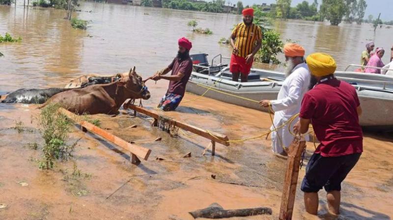 Flood in Punjab