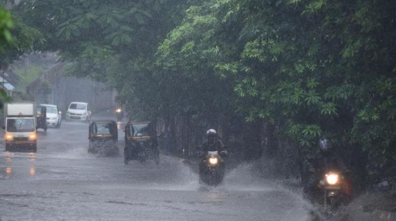 Punjab Weather Update: IMD issues alert for rainfall in the state 