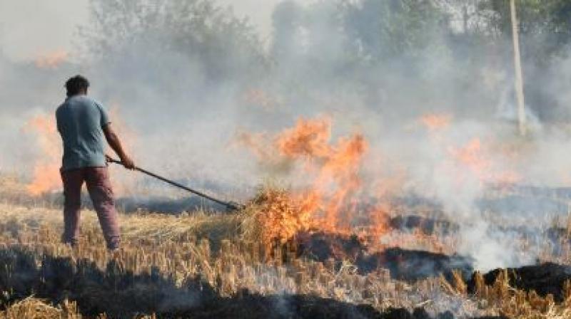 Punjab Pollution Report