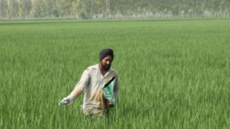 Punjab Weather Update News Punjab Weather Update News