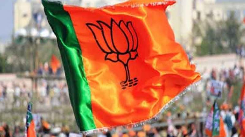 Big win for BJP in Sangli Big win for BJP in Sangli
