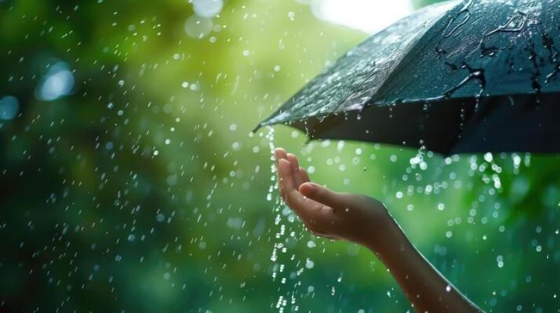 BREAKING: Monsoon Covers Entire Nation on June 29, Nine Days Ahead of Schedule (Image courtesy: Vecteezy) BREAKING: Monsoon Covers Entire Nation on June 29, Nine Days Ahead of Schedule (Image courtesy: Vecteezy)