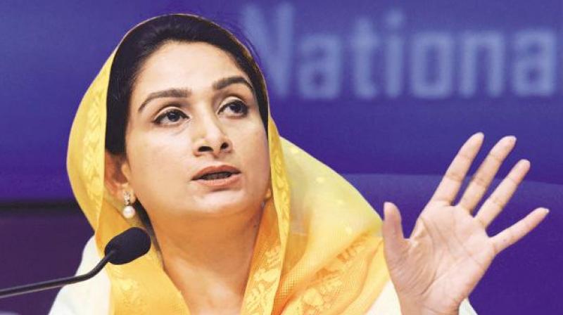 Senior SAD leader and Union Minister Harsimrat Kaur Badal