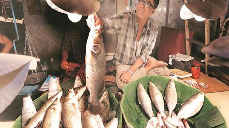 Meat traders are experiencing a slump in their businesses Meat traders are experiencing a slump in their businesses